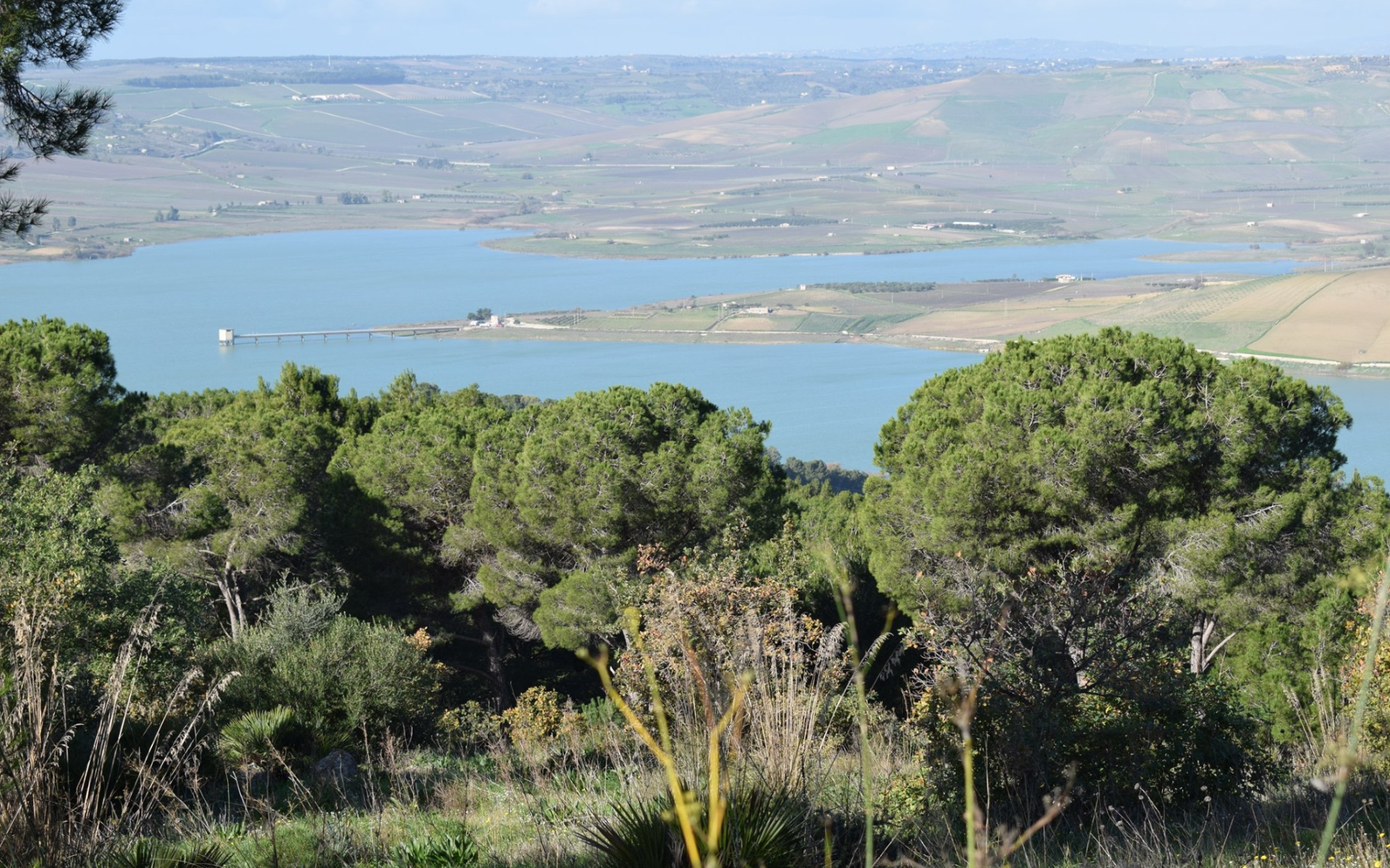 Progetto senza titolo (21)